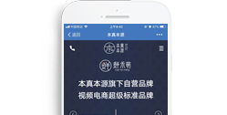 重慶本真本源實業(yè)有限公司【手機(jī)版】